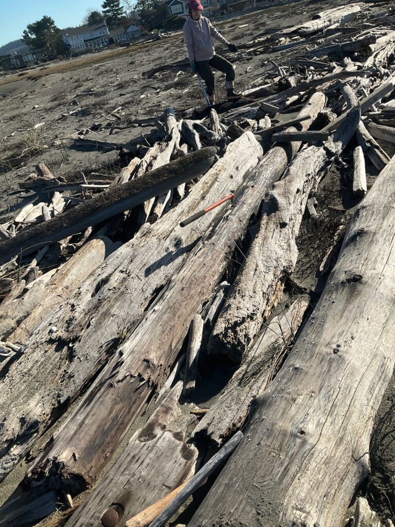 a man standing on a pile of wood (MyCoast AI)