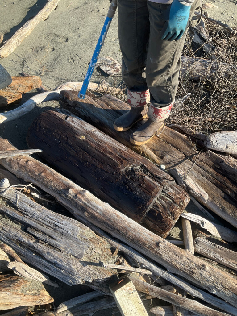 a person with a shovel on a pile of wood (MyCoast AI)