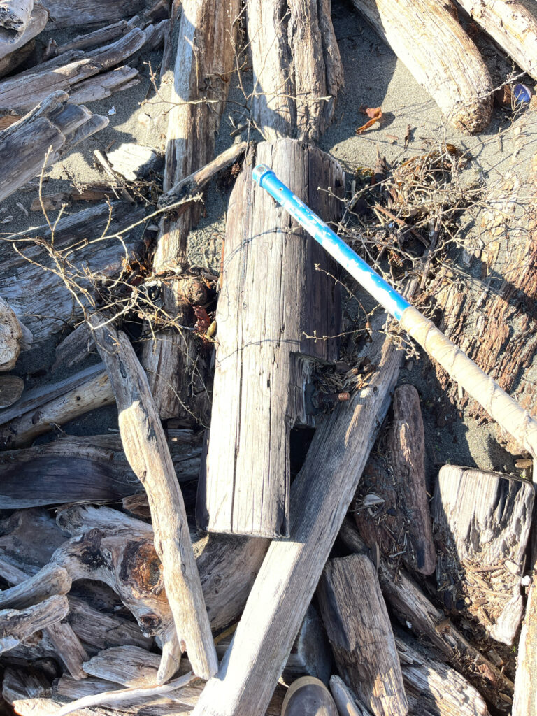 a pile of wood (MyCoast AI)