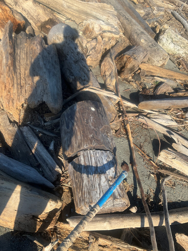 a wooden structure with a blue tool (MyCoast AI)