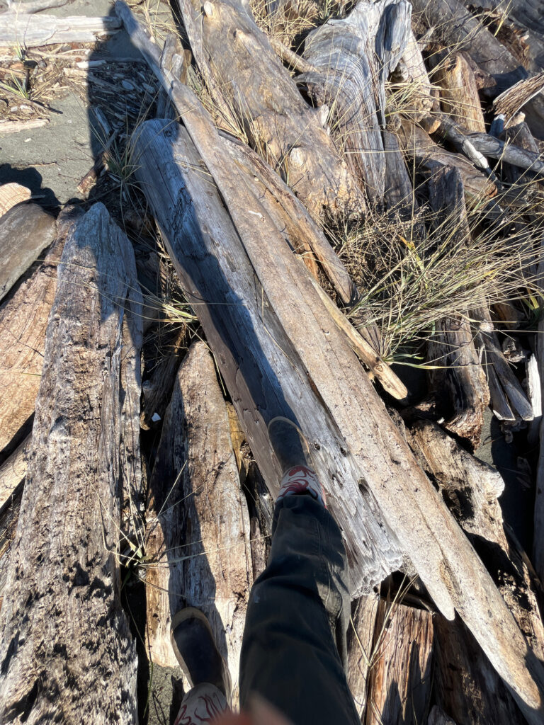a person's feet on a log (MyCoast AI)