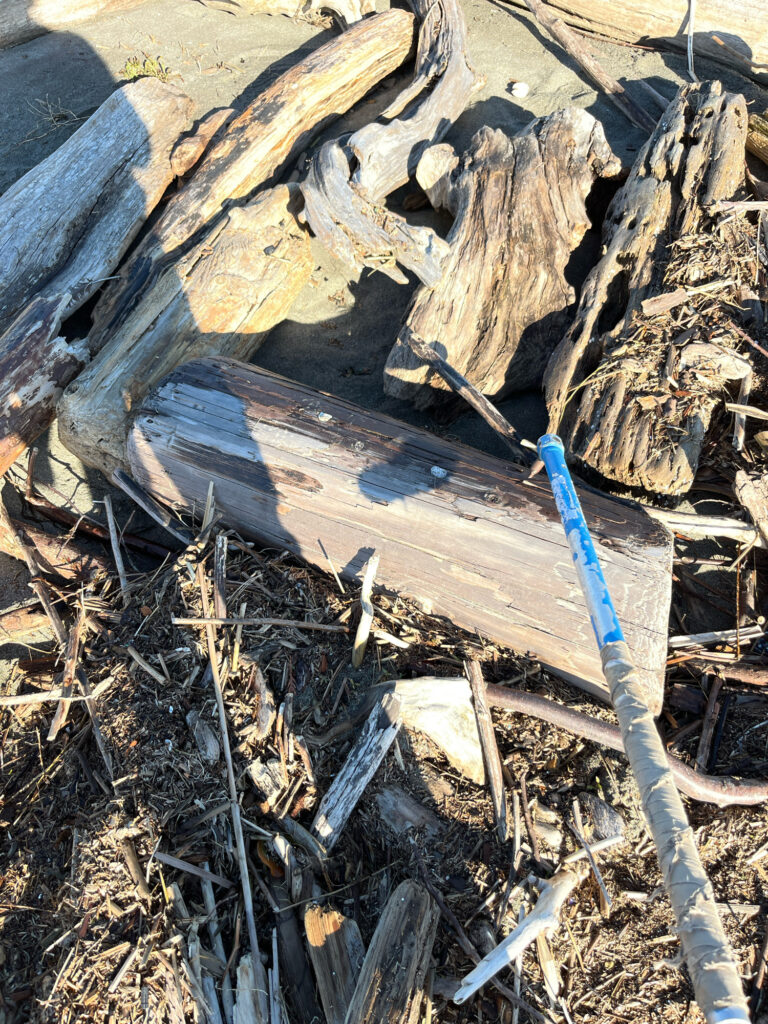 a toothbrush laying on the ground (MyCoast AI)