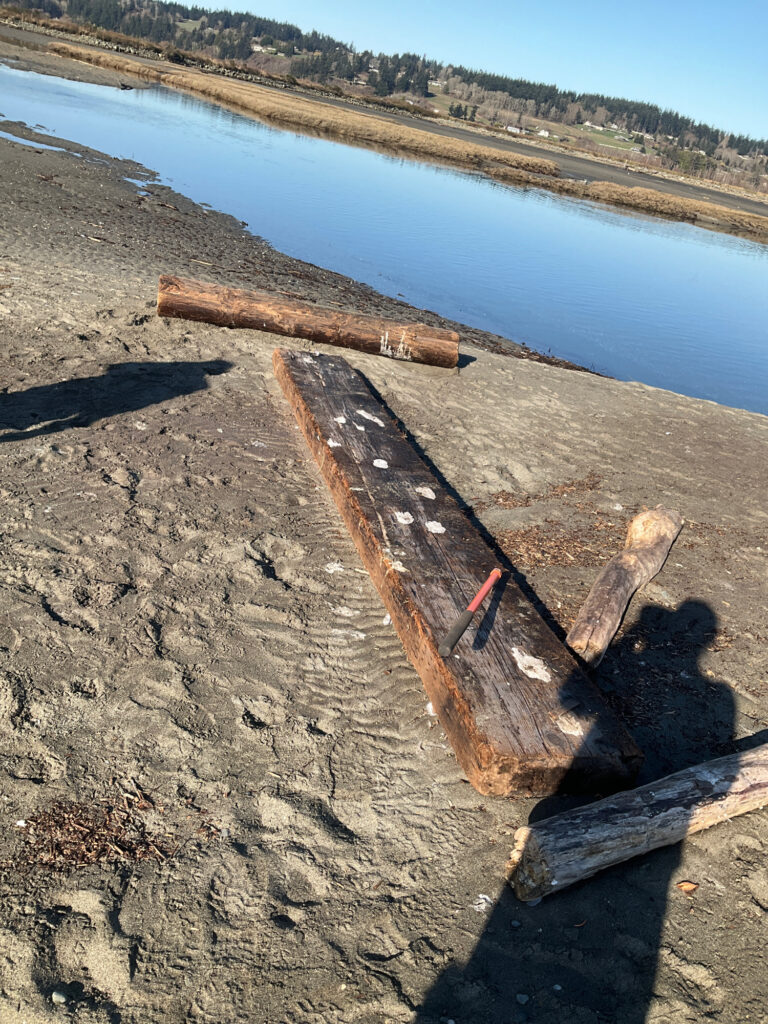 a wooden bench on a beach (MyCoast AI)