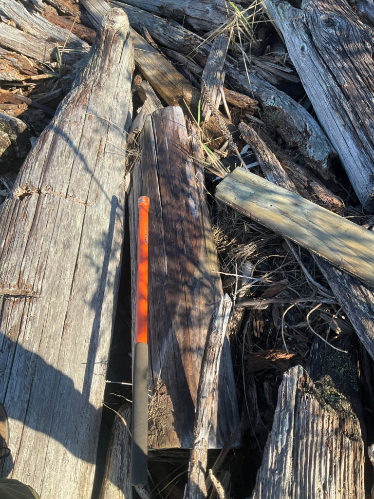 a close-up of a tree trunk (MyCoast AI)