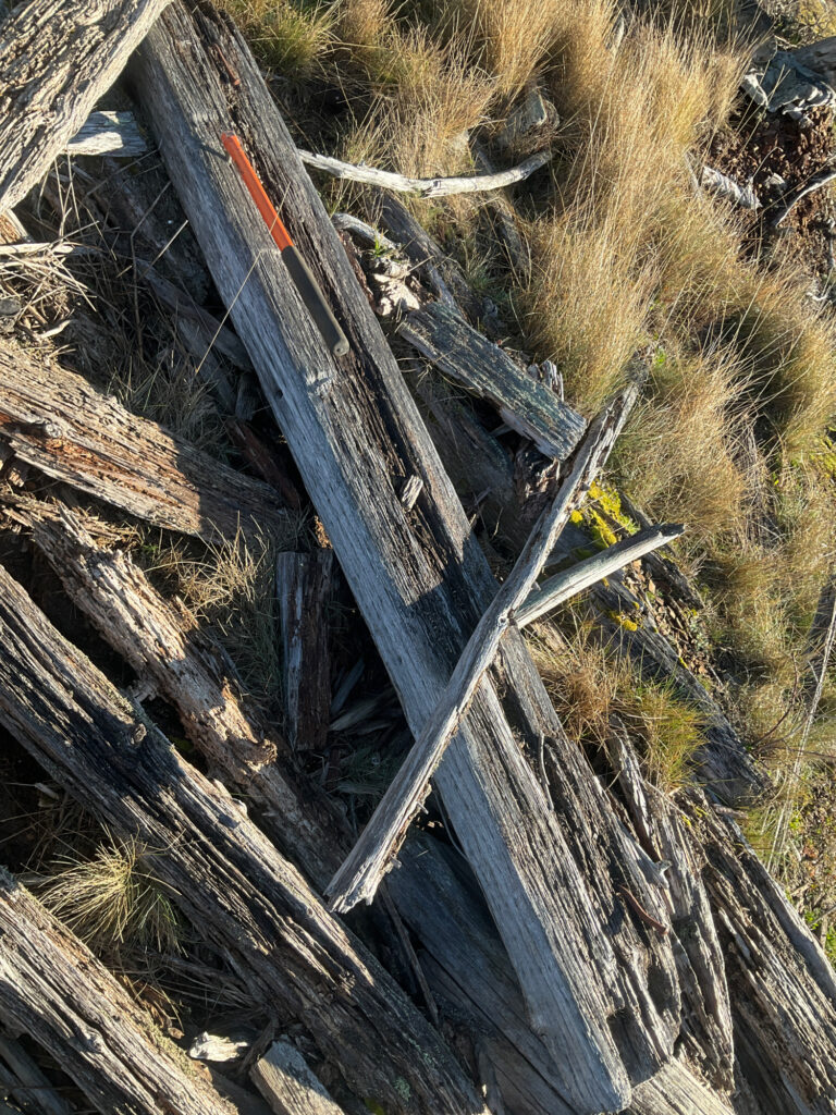a wooden bridge over a river (MyCoast AI)