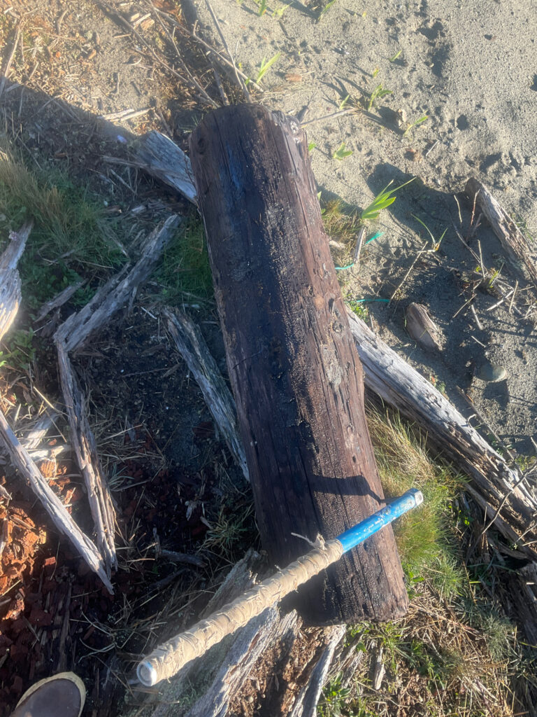 a tree stump in a field (MyCoast AI)
