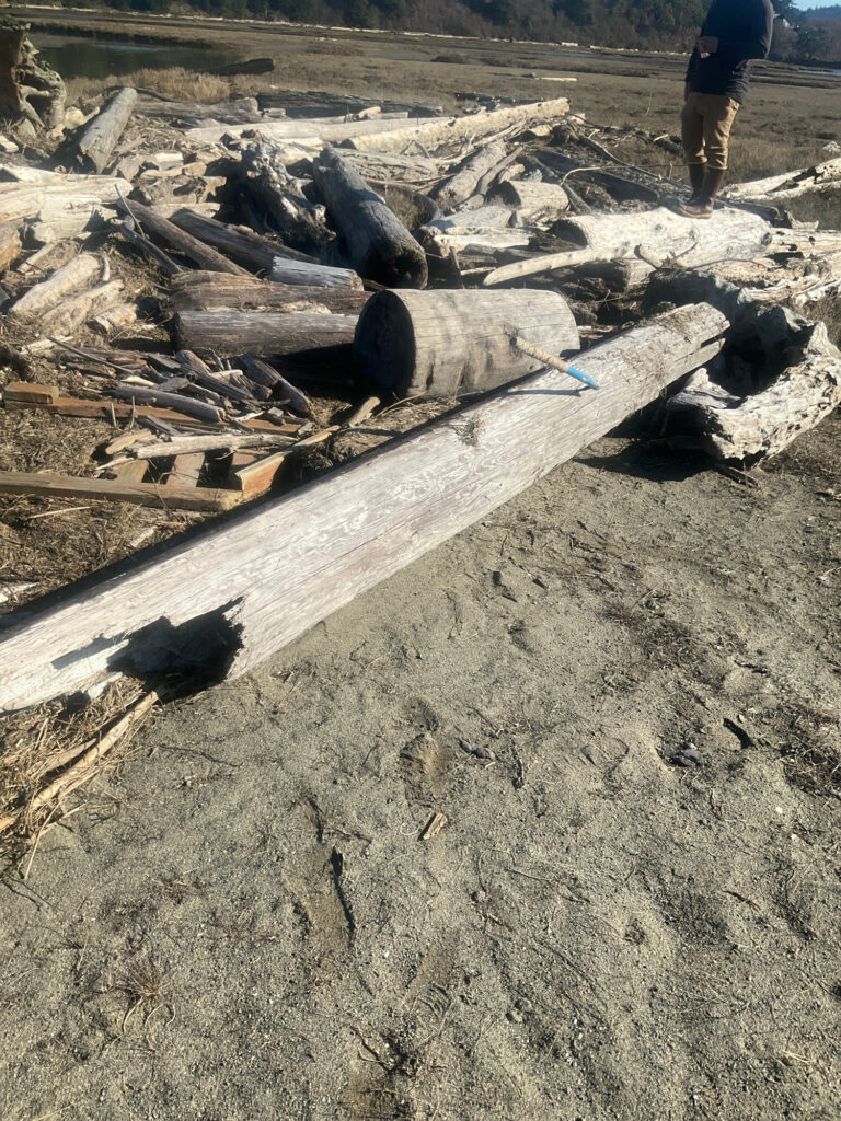 a person standing next to a pile of wood (MyCoast AI)
