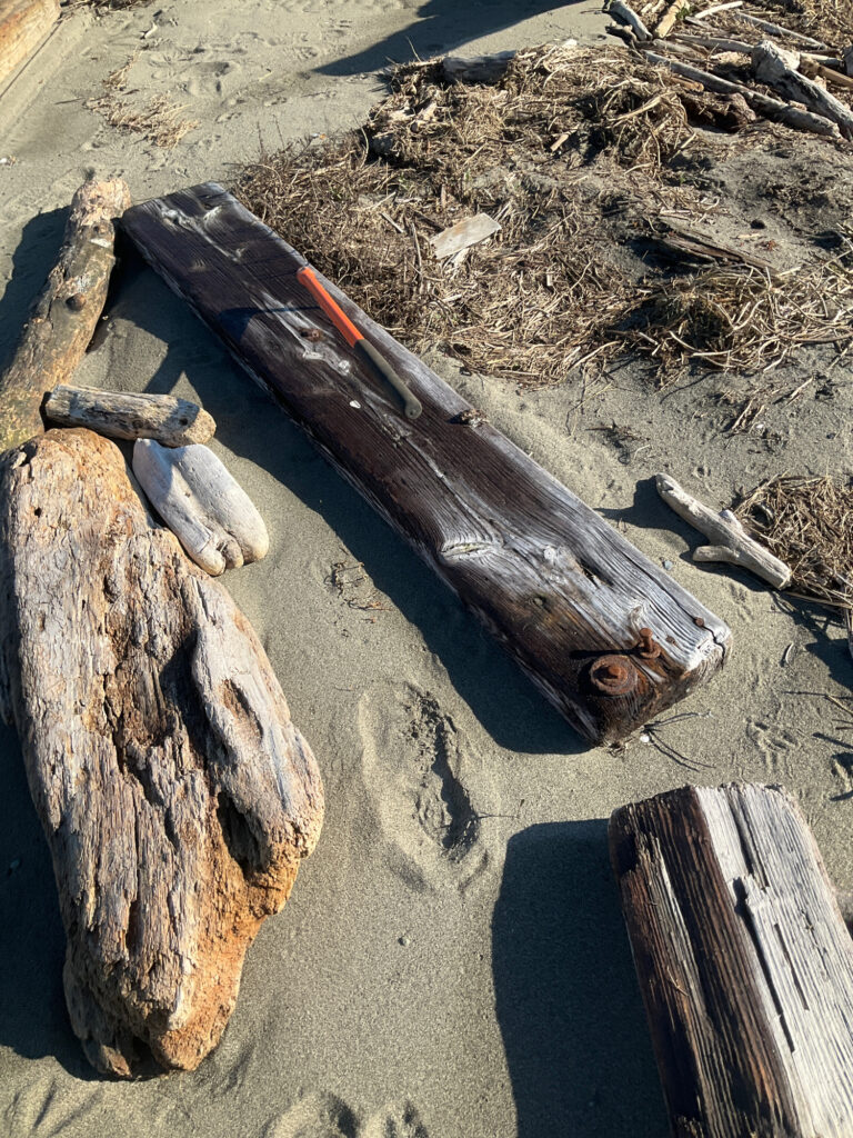 a group of wood pieces (MyCoast AI)