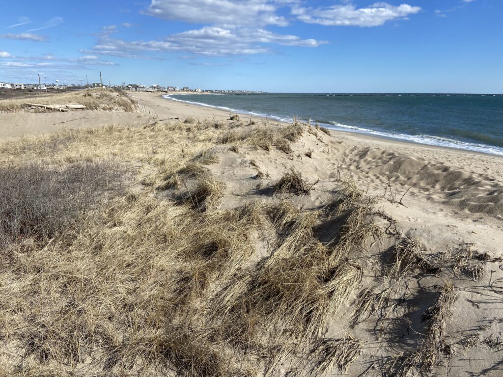 a sandy beach with water and blue sky (MyCoast AI)