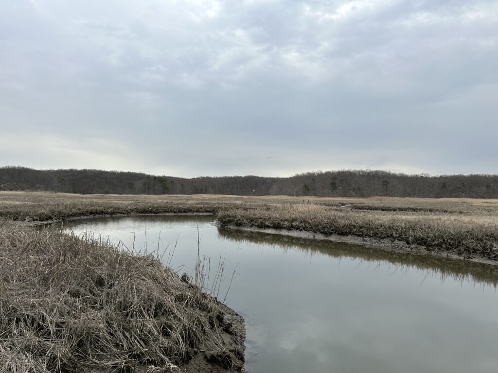 a lake with snow and trees (MyCoast AI)