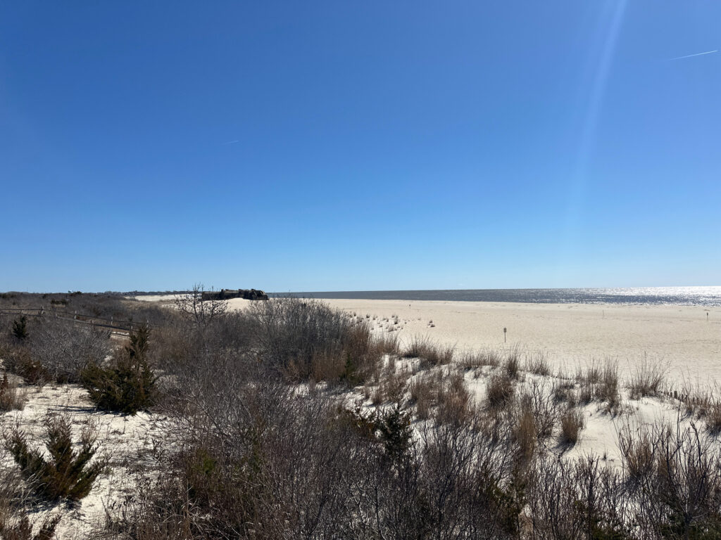 a field of dry grass (MyCoast AI)