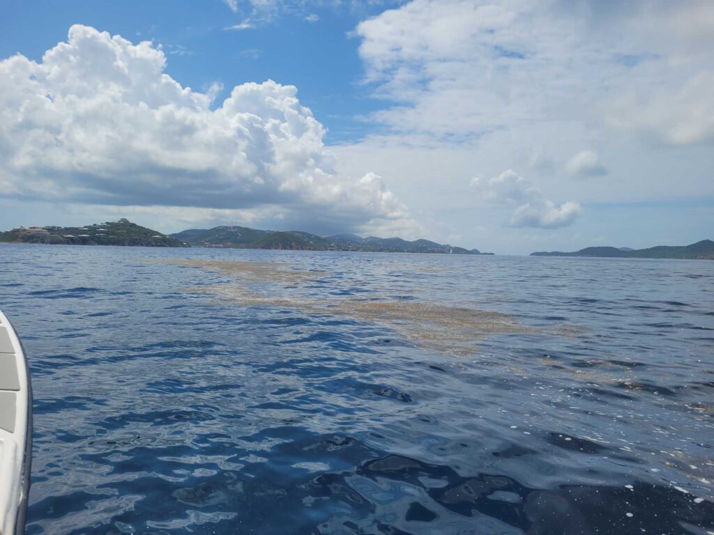 a body of water with land in the distance (MyCoast AI)
