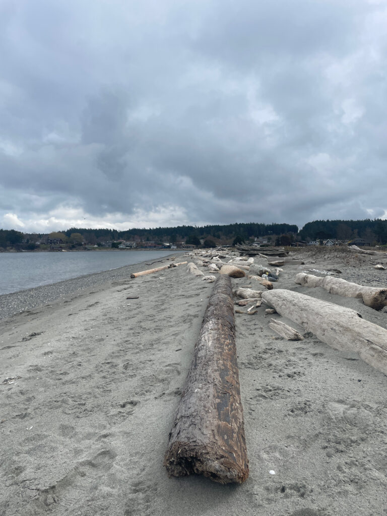 a concrete wall next to a body of water (MyCoast AI)