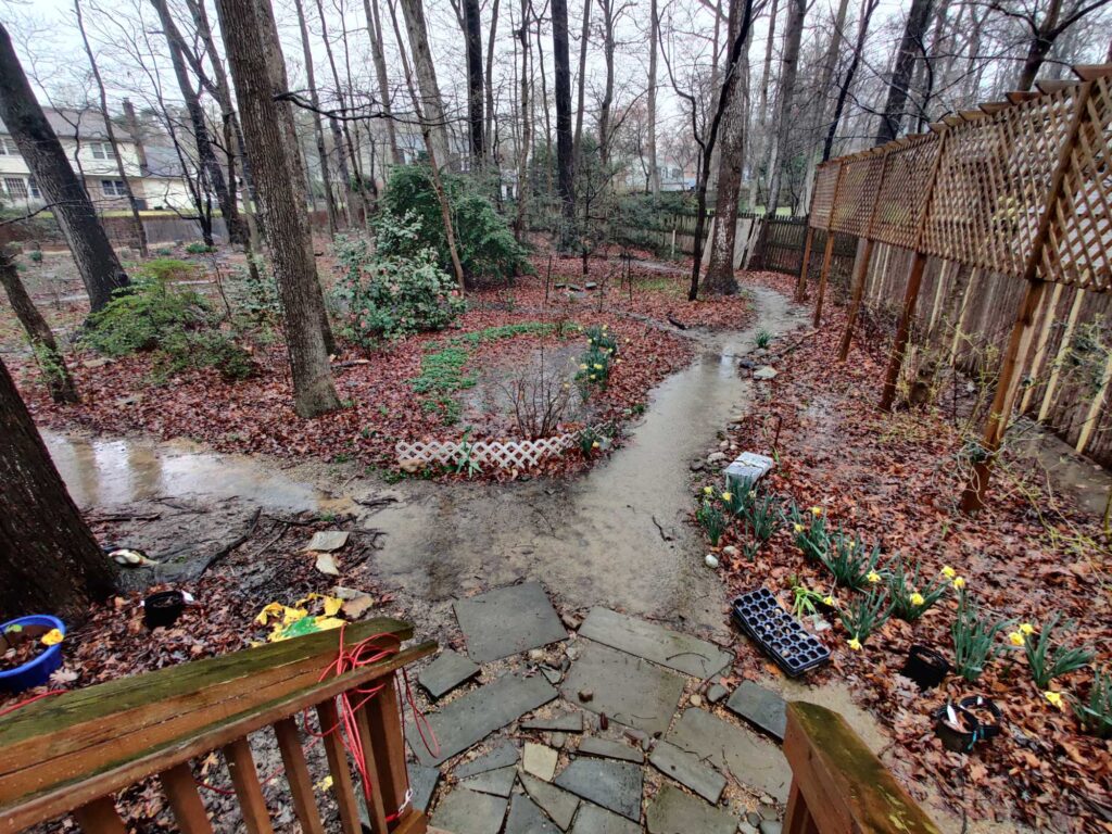a garden with a small pond (MyCoast AI)