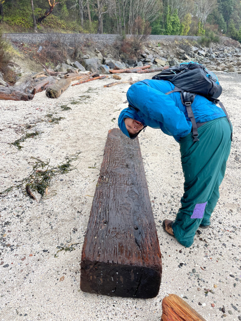 a person leaning on a tree stump (MyCoast AI)