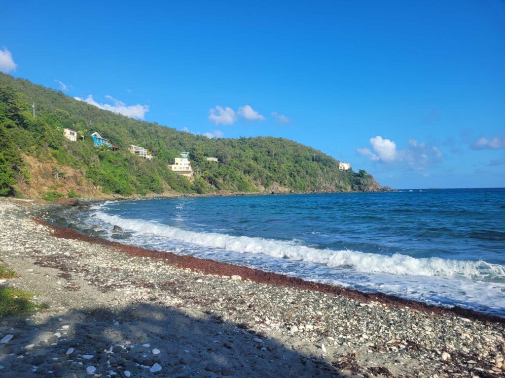 a beach with a hill and houses (MyCoast AI)