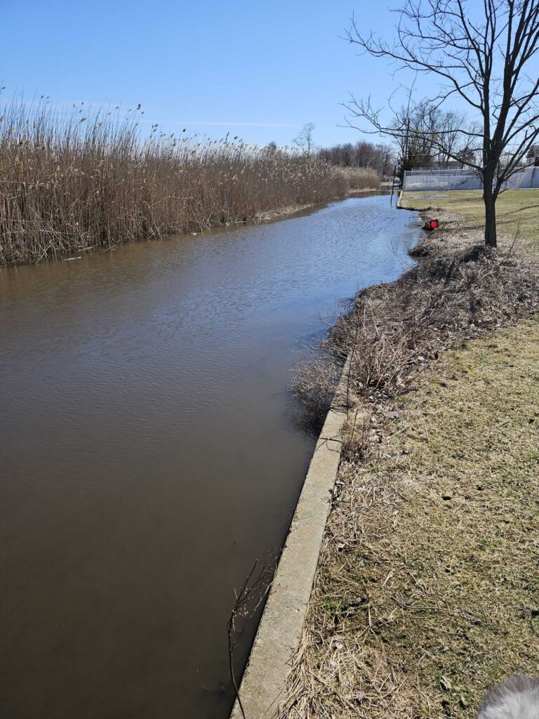 a river with a path and grass (MyCoast AI)