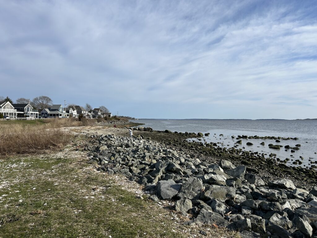 a rocky beach with houses in the background (MyCoast AI)