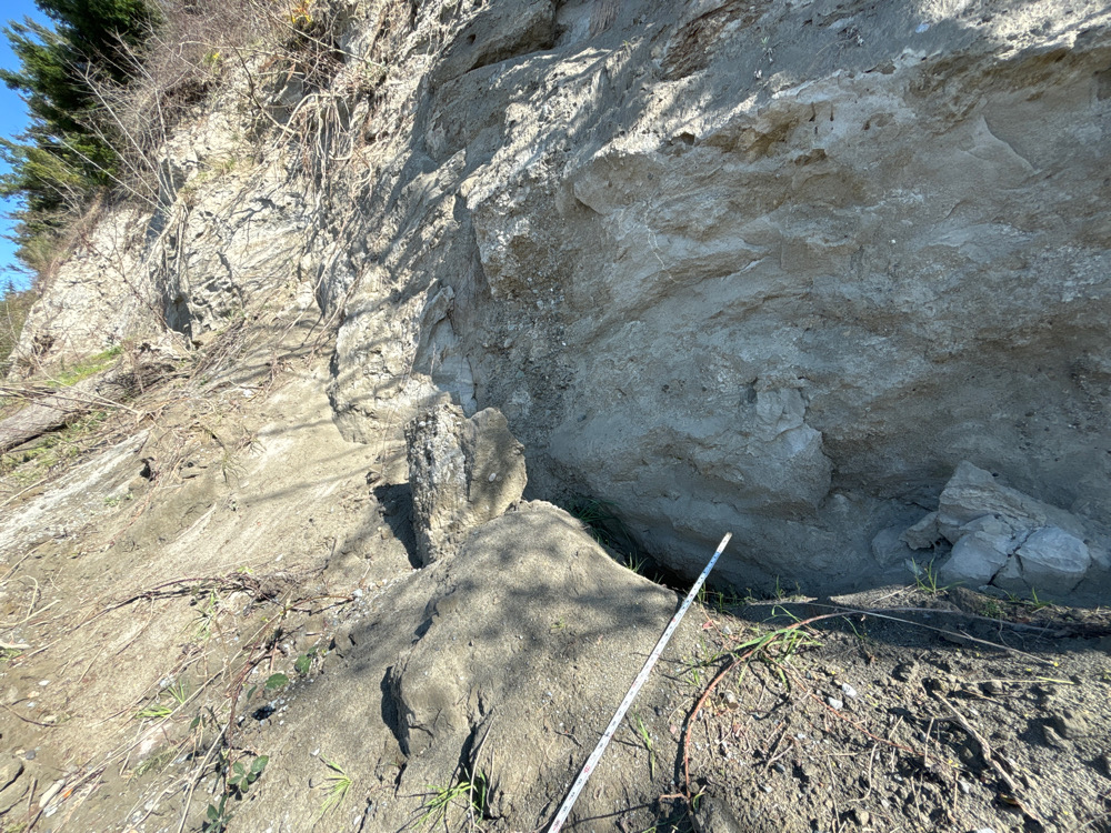 a rocky cliff side (MyCoast AI)