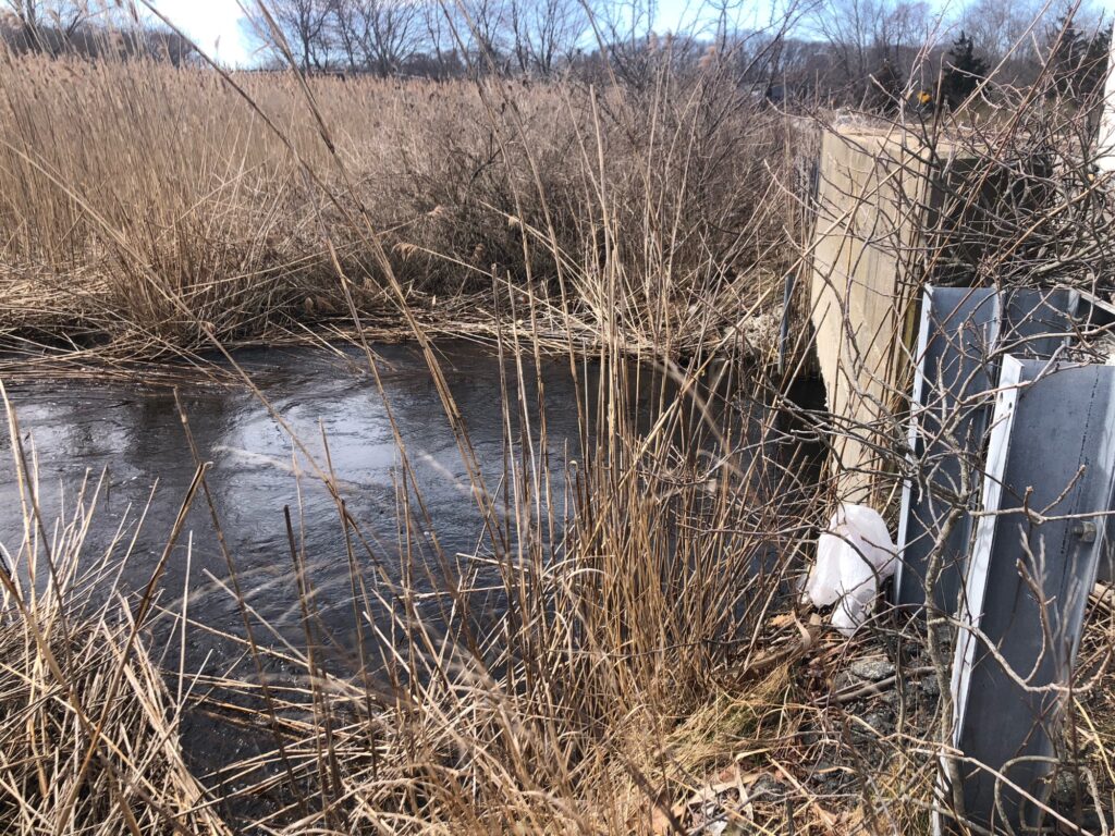 a river with a fence and bushes (MyCoast AI)