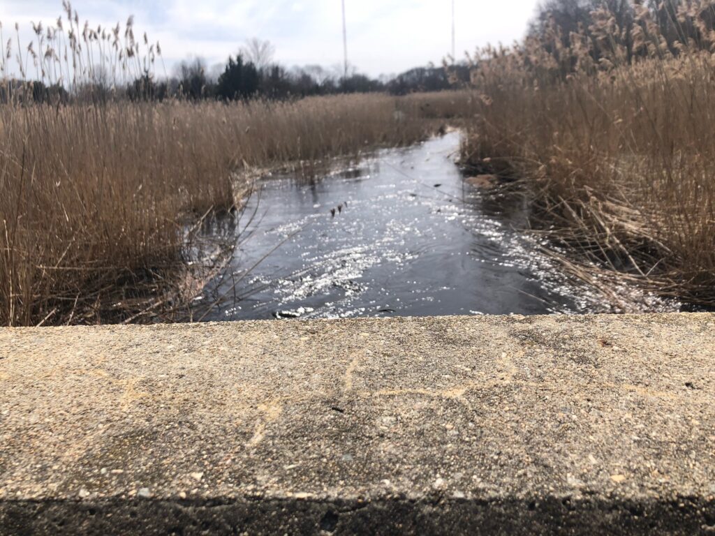 a small pond in a field (MyCoast AI)