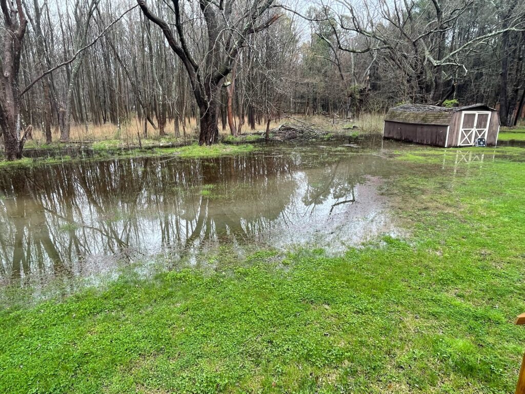a small pond with a small house (MyCoast AI)