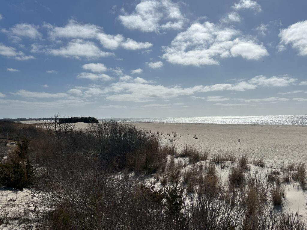a field of snow and bushes (MyCoast AI)