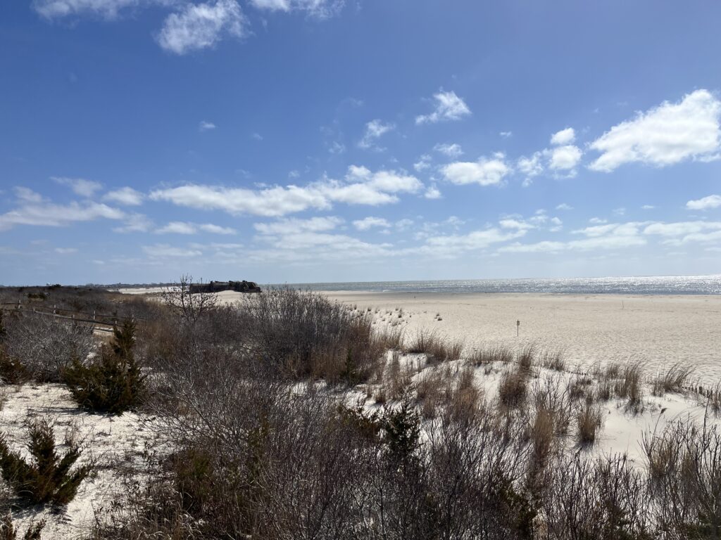 a field of dry grass (MyCoast AI)