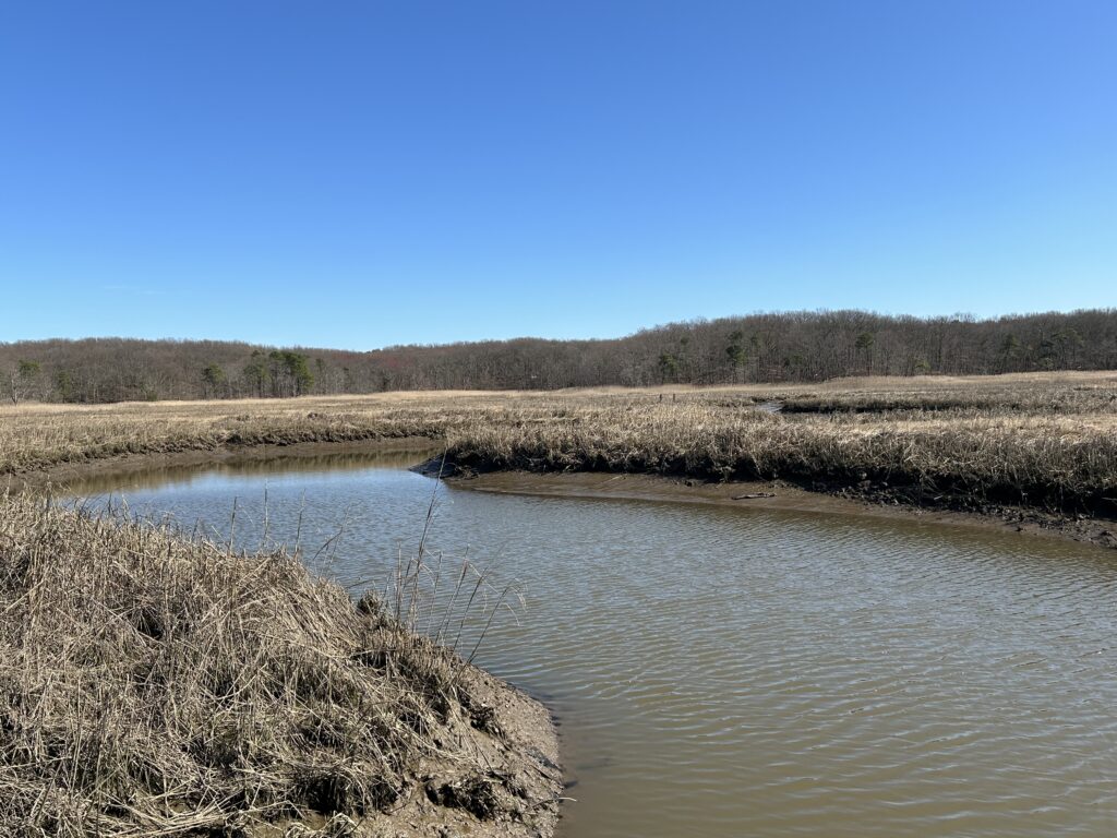 a river with a field and trees in the background (MyCoast AI)