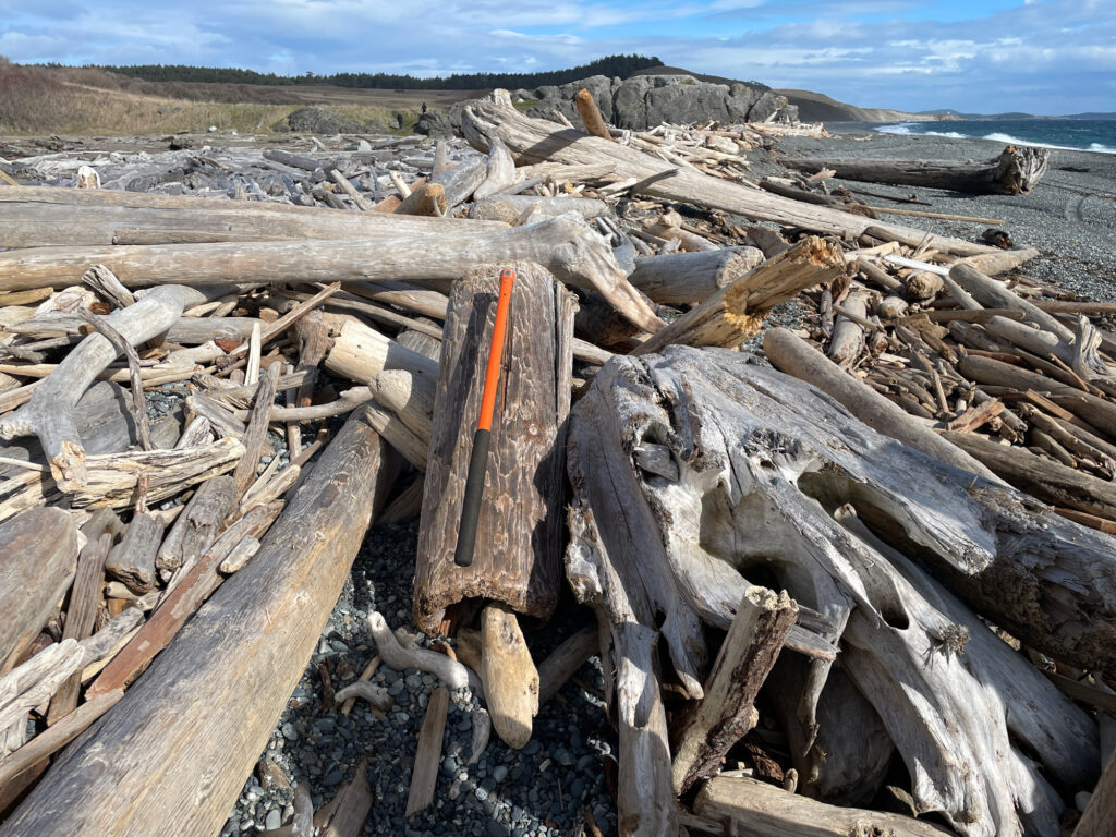 a pile of wood (MyCoast AI)