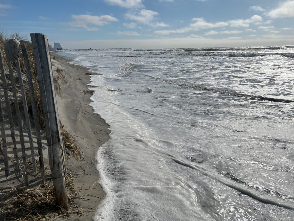 a beach with waves crashing on it (MyCoast AI)