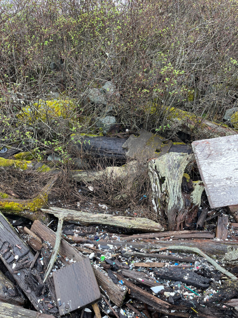a pile of debris and debris (MyCoast AI)