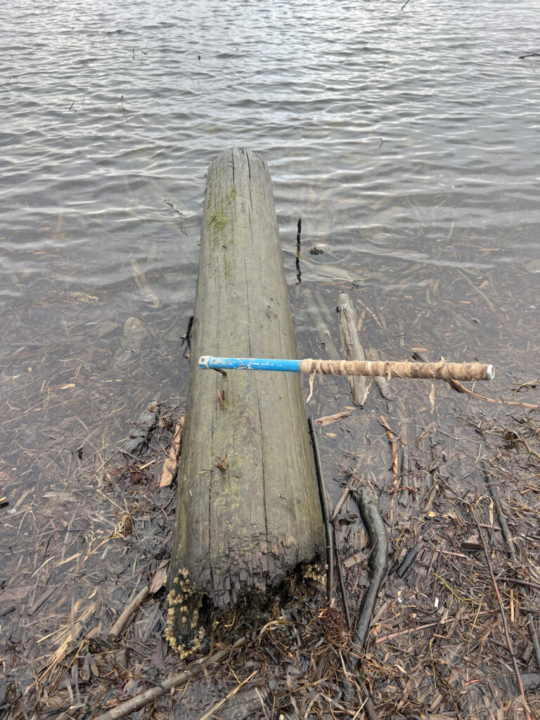 a wooden post in the water (MyCoast AI)