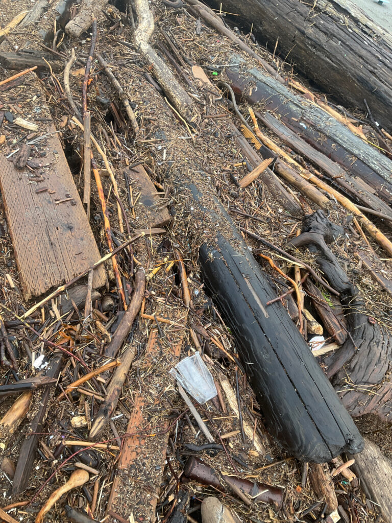 a pile of wood and sticks (MyCoast AI)