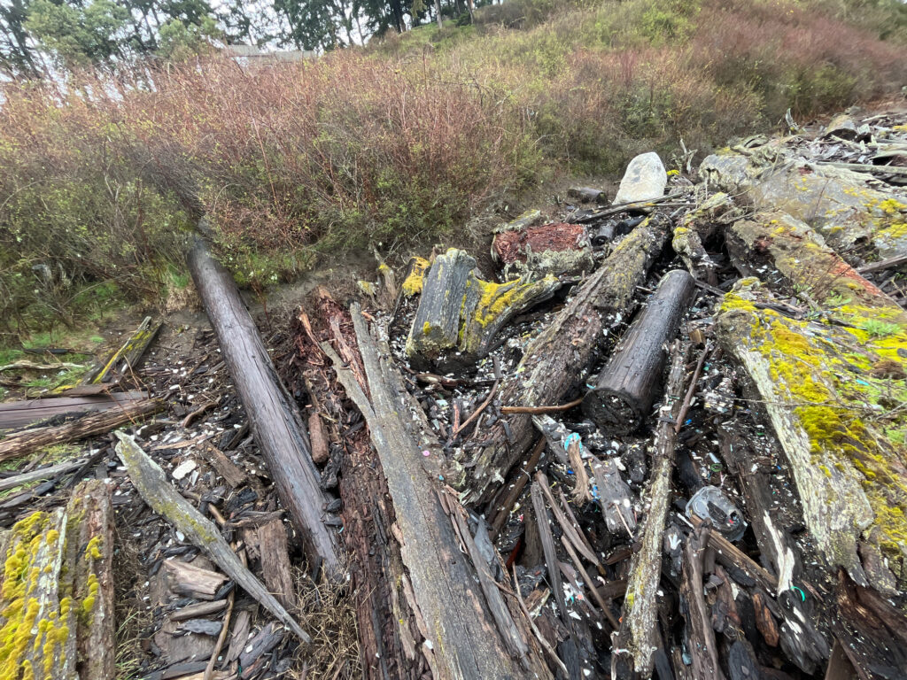 a pile of wood and debris (MyCoast AI)