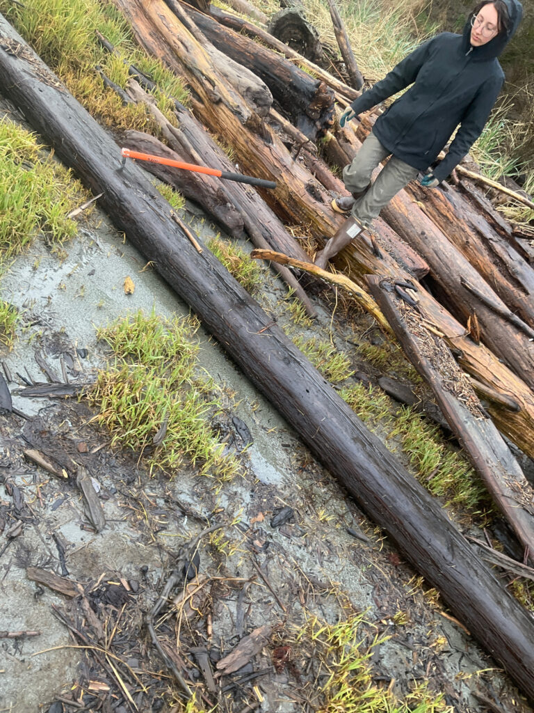 a person standing on a fallen tree (MyCoast AI)