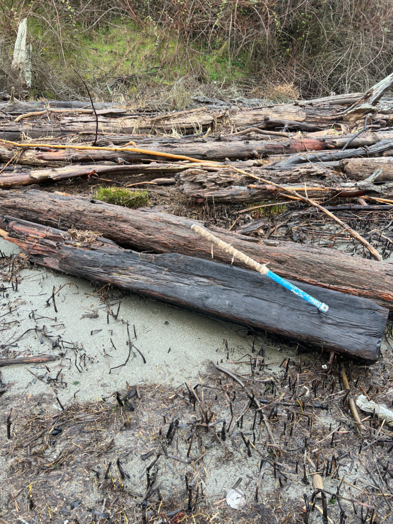 a stream with a blue tube in it (MyCoast AI)