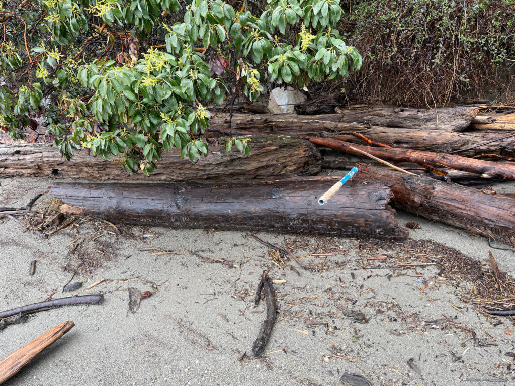 a broken tree trunk (MyCoast AI)