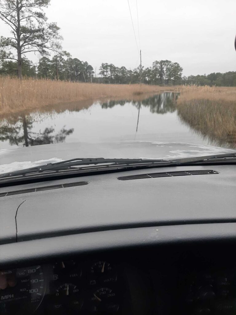 a car dashboard with water and trees (MyCoast AI)