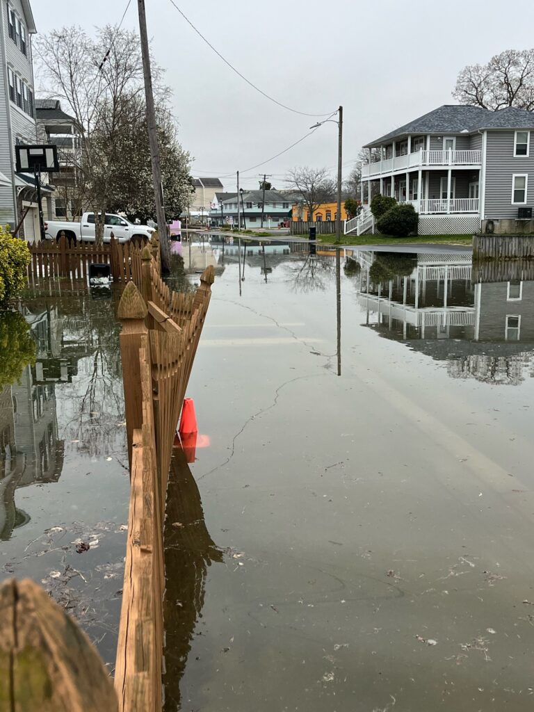 a flooded street with houses and trees (MyCoast AI)