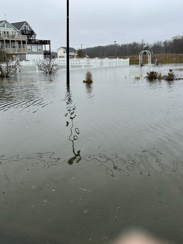 a flooded area with houses and trees (MyCoast AI)