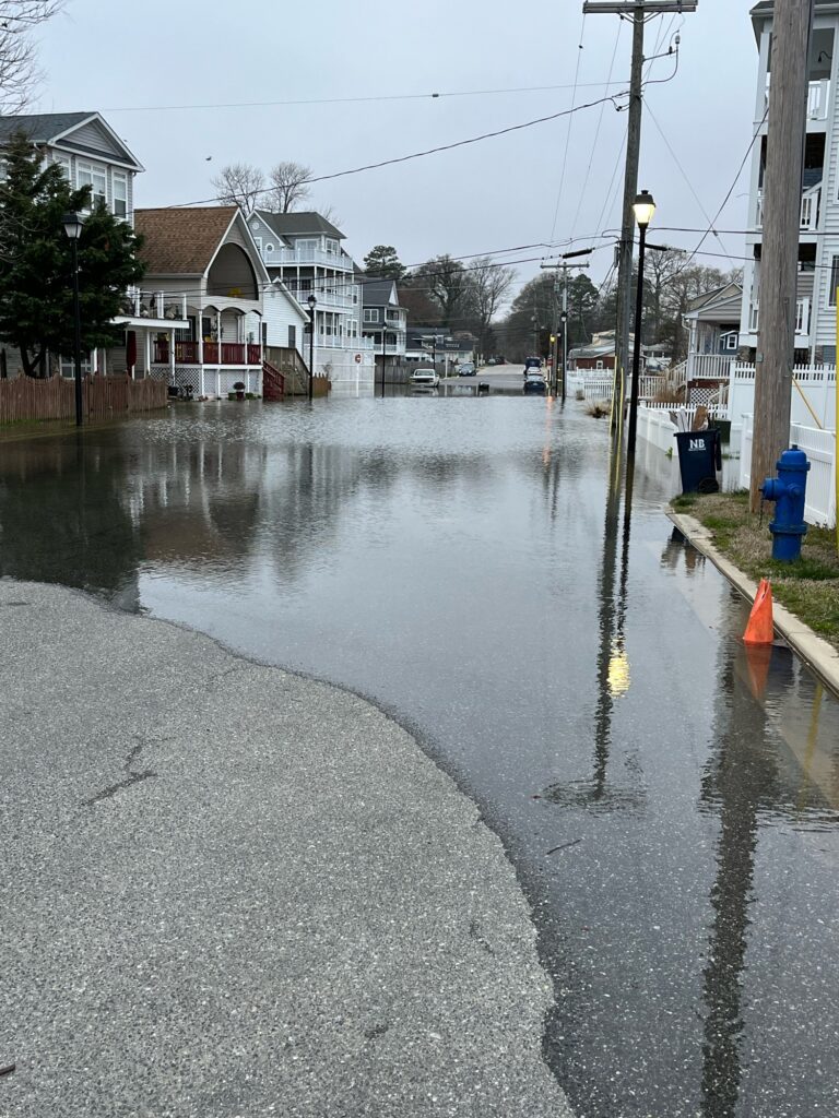 a flooded street with a fire hydrant (MyCoast AI)