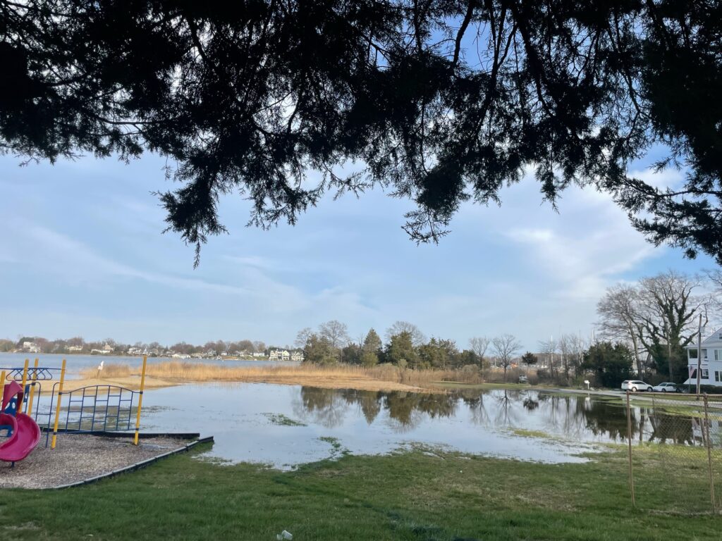 a pond with grass and trees around it (MyCoast AI)