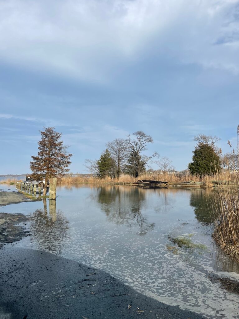 a body of water with trees and grass around it (MyCoast AI)