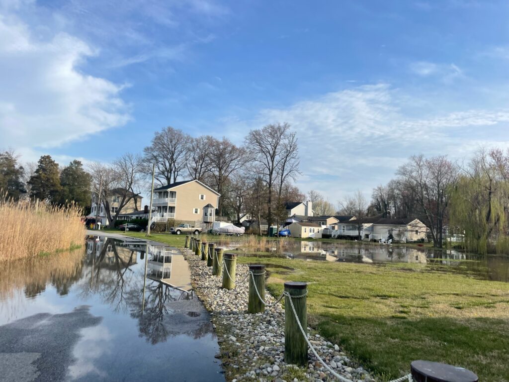 a small town with a pond (MyCoast AI)