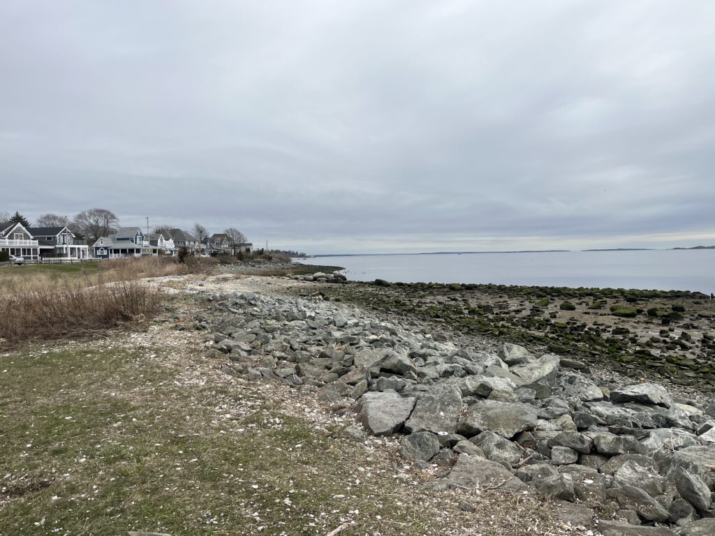 a rocky beach with houses in the background (MyCoast AI)