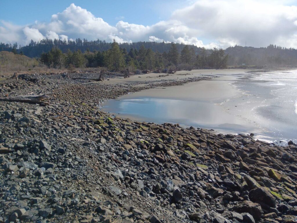 a rocky beach with a body of water and trees in the background (MyCoast AI)