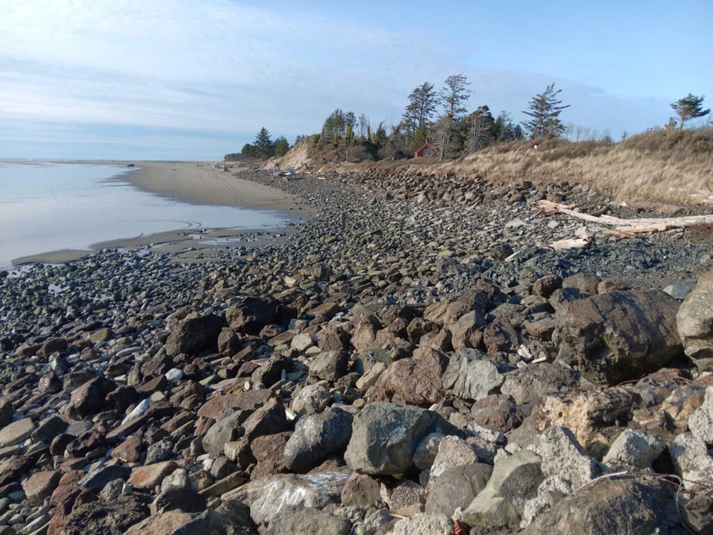 a rocky beach with trees and a body of water in the background (MyCoast AI)