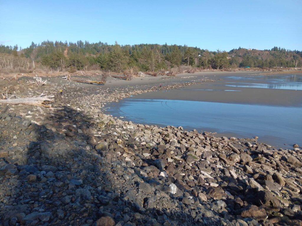 a rocky beach with trees in the background (MyCoast AI)
