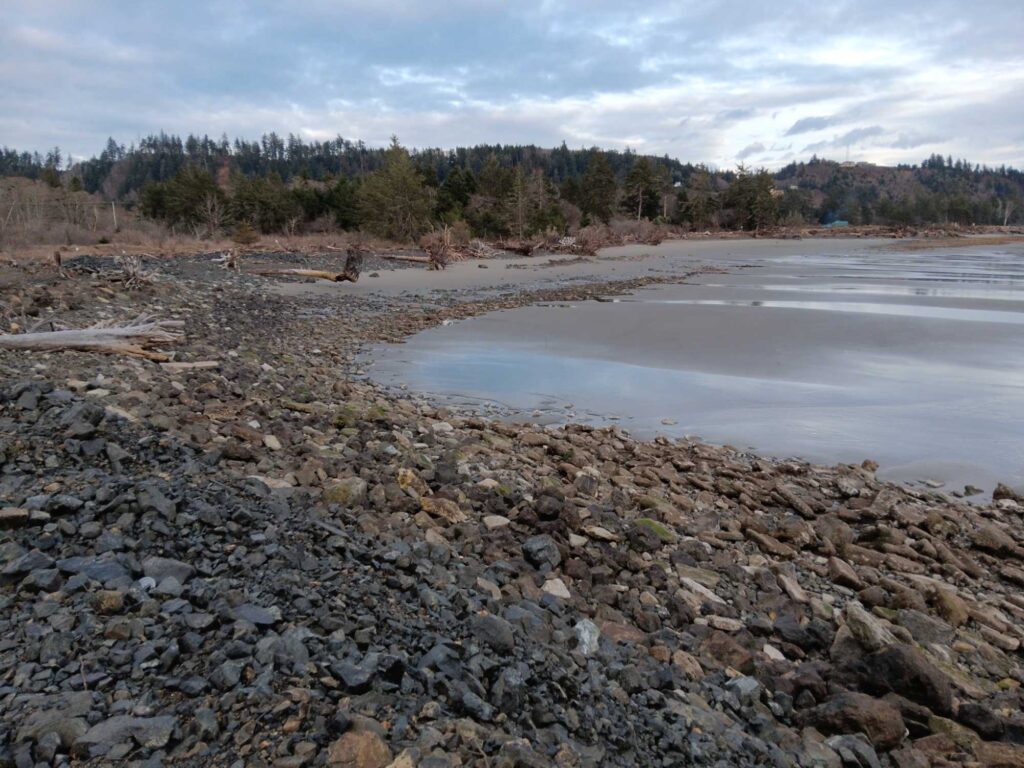 a rocky beach with a body of water and trees in the background (MyCoast AI)